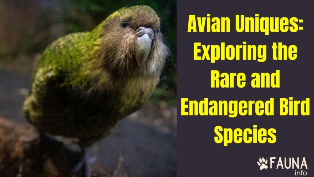 AVIAN UNIQUES EXPLORING THE RARE AND ENDANGERED BIRD SPECIES